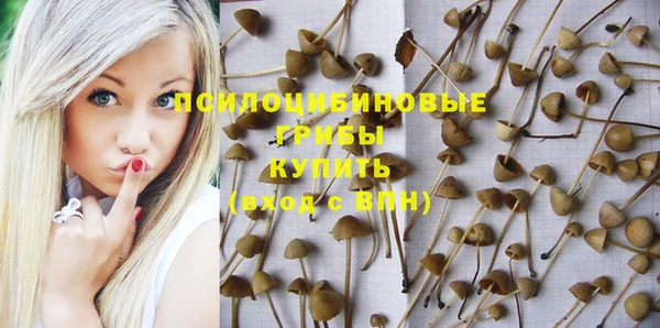 гидра Абдулино